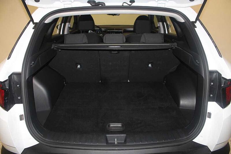 Hyundai Tucson 1.6 TGDI Maxx 4x2
